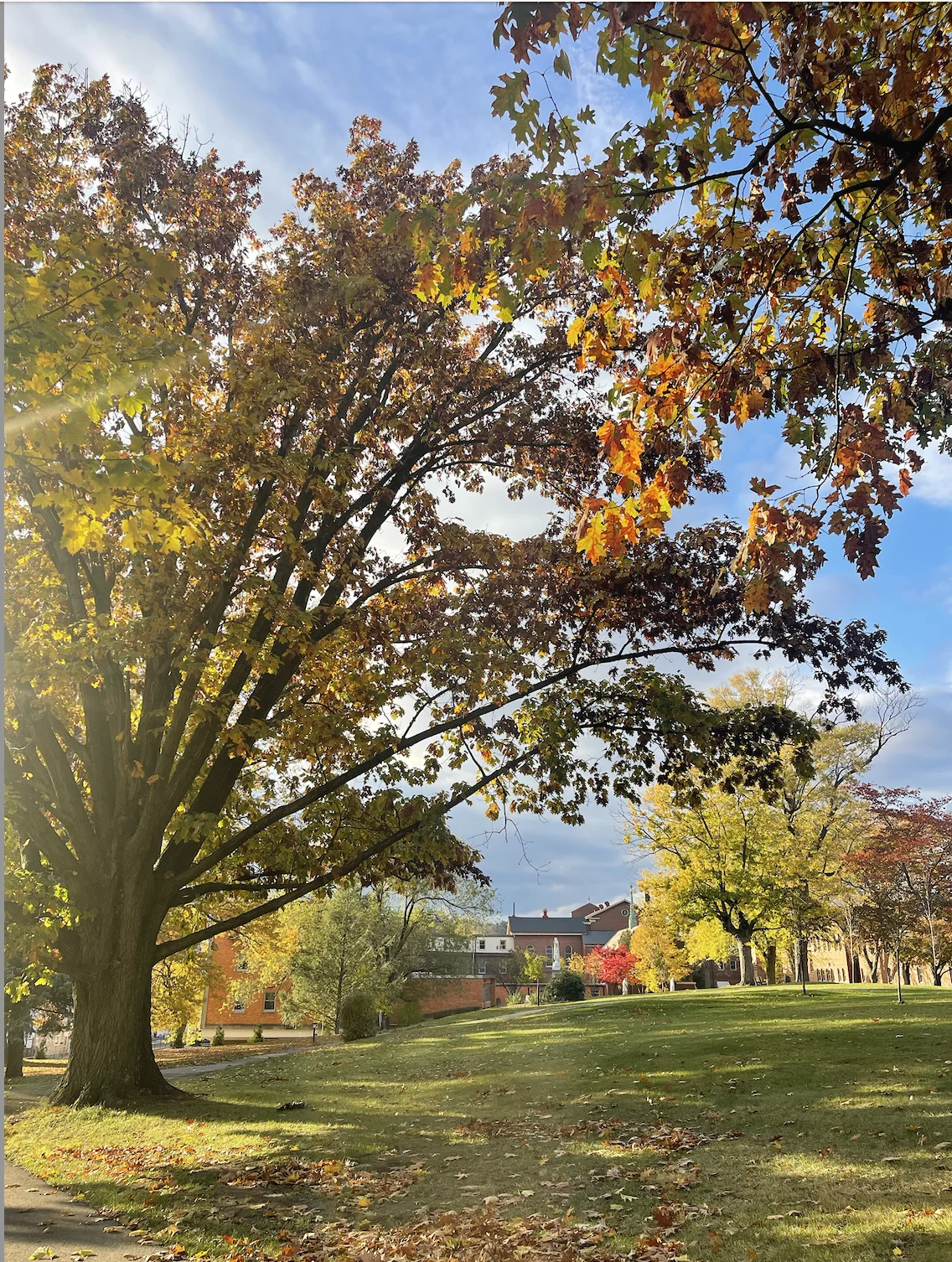 Screenshot 2025 11 03 At 9 3.webp